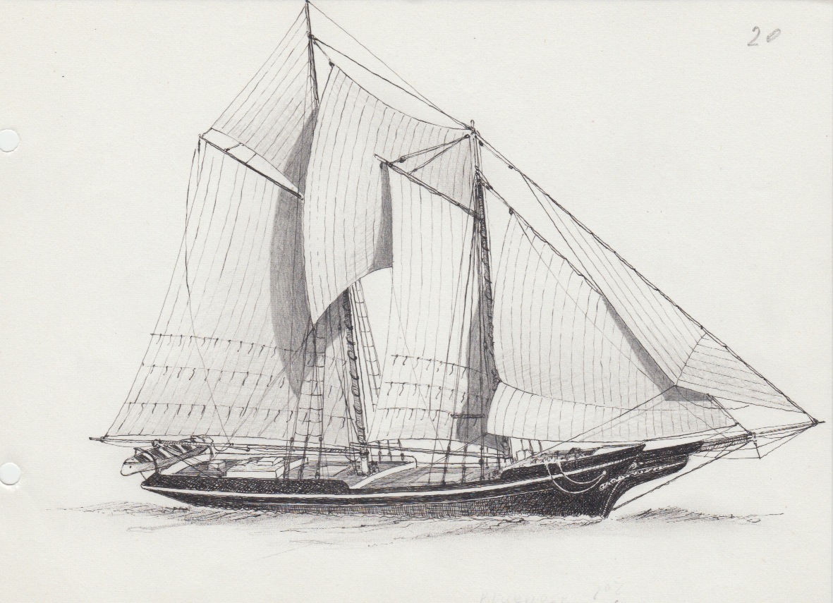 202 Schooner americano